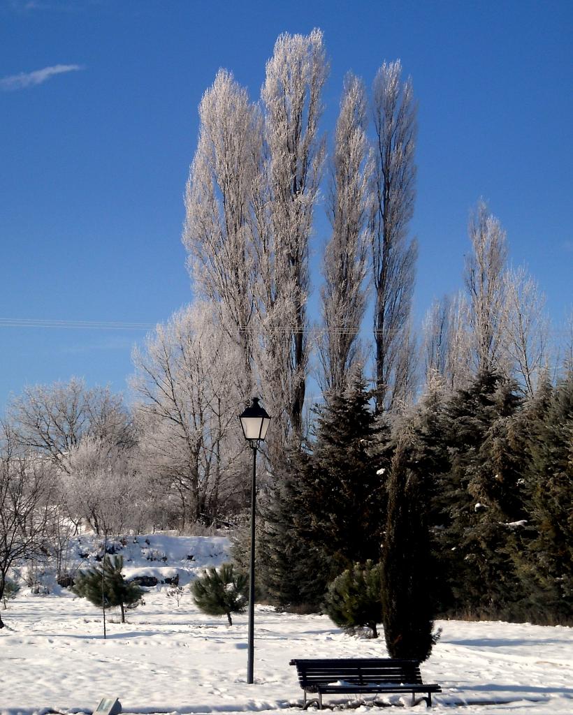 Foto de Fuentespina (Burgos), España