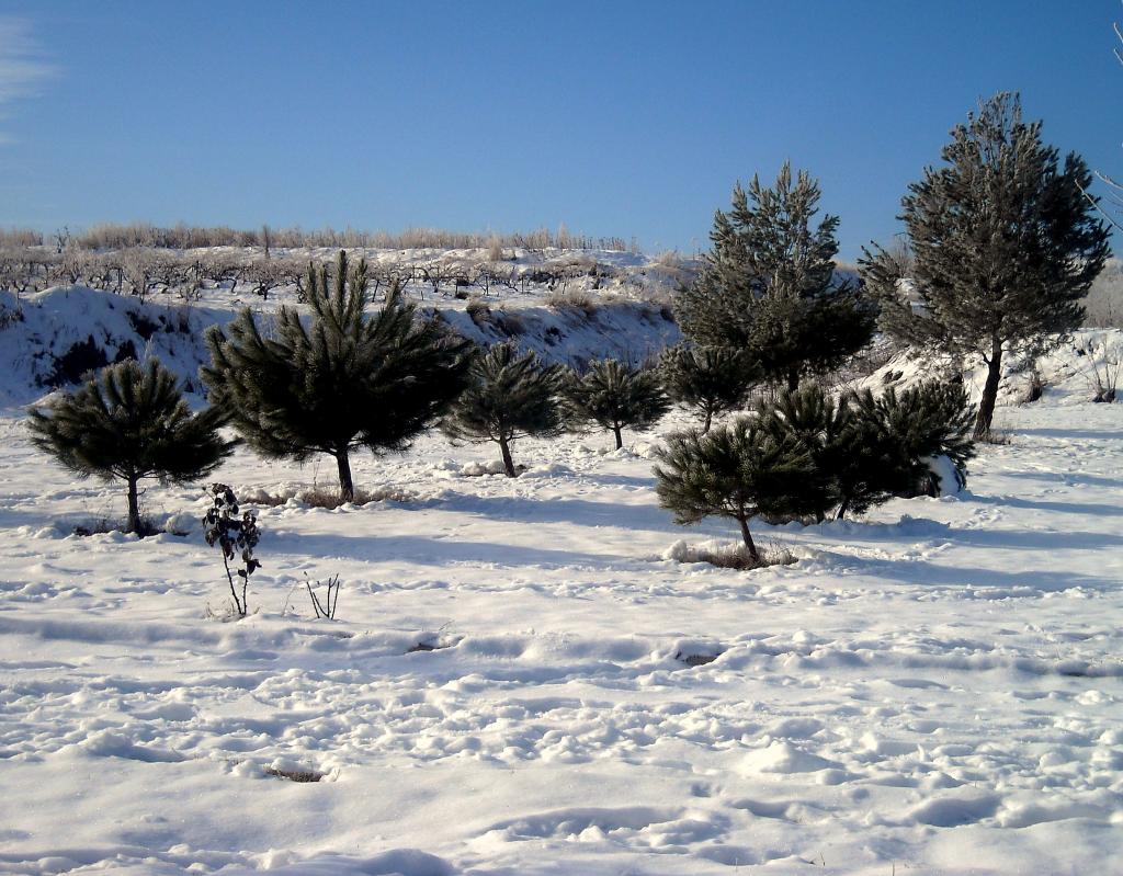 Foto de Fuentespina (Burgos), España