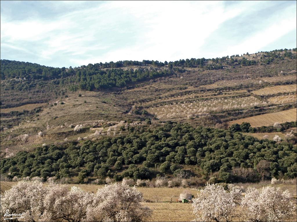 Foto de Aluenda (Zaragoza), España