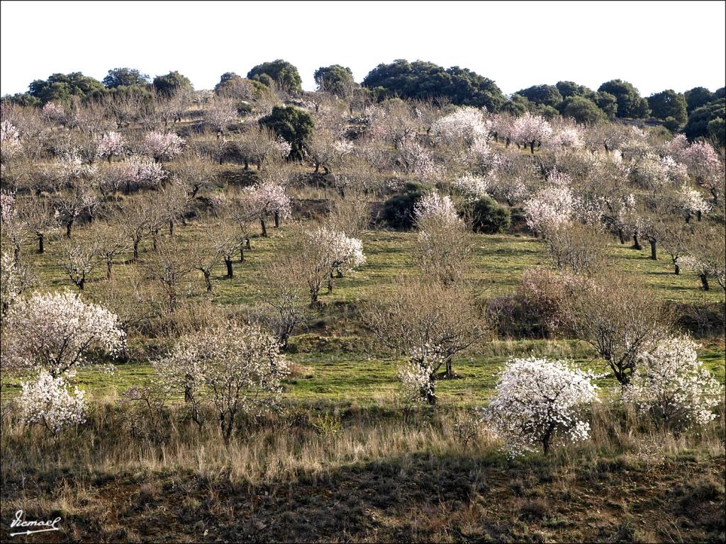 Foto de Aluenda (Zaragoza), España