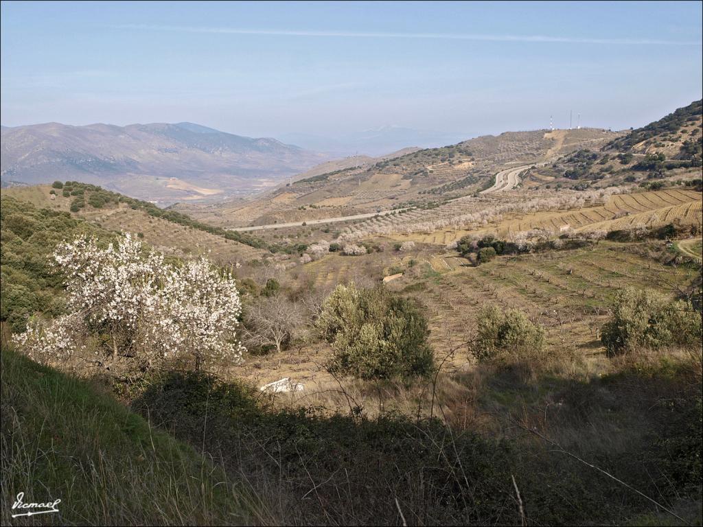Foto de Aluenda (Zaragoza), España