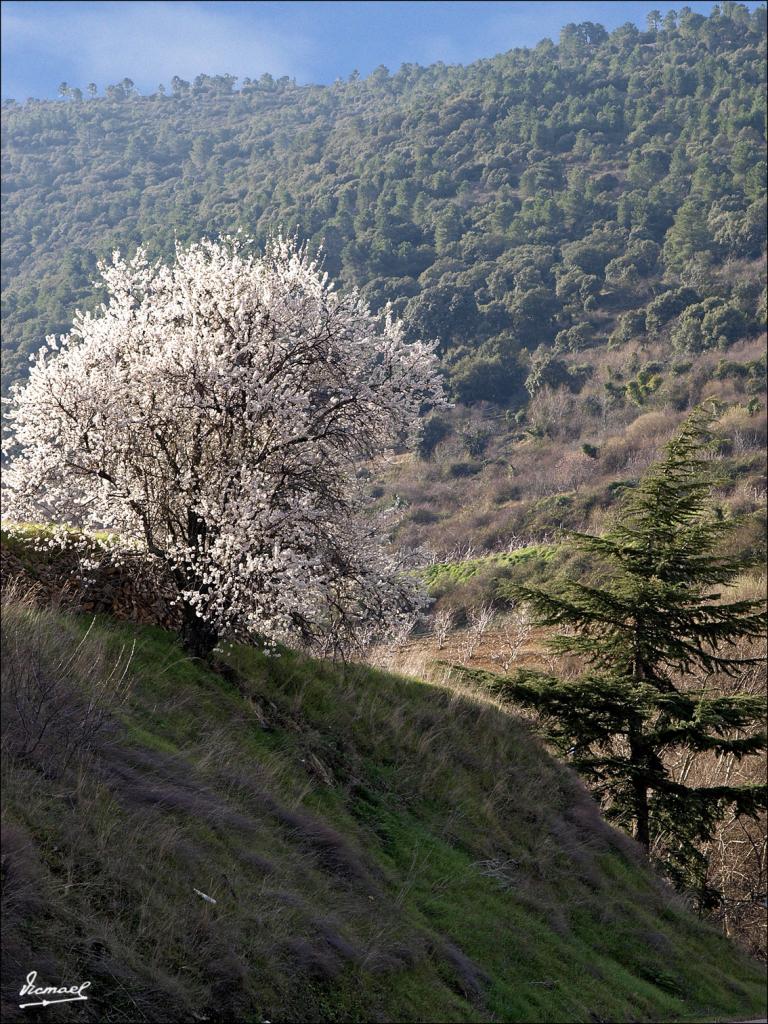 Foto de Aluenda (Zaragoza), España
