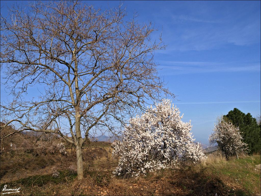 Foto de Aluenda (Zaragoza), España