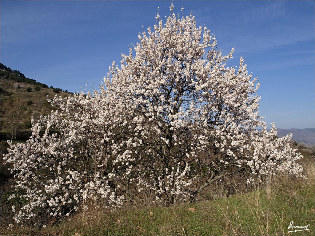 Foto de Aluenda (Zaragoza), España