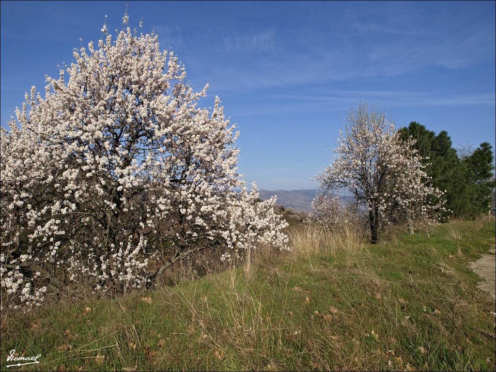 Foto de Aluenda (Zaragoza), España