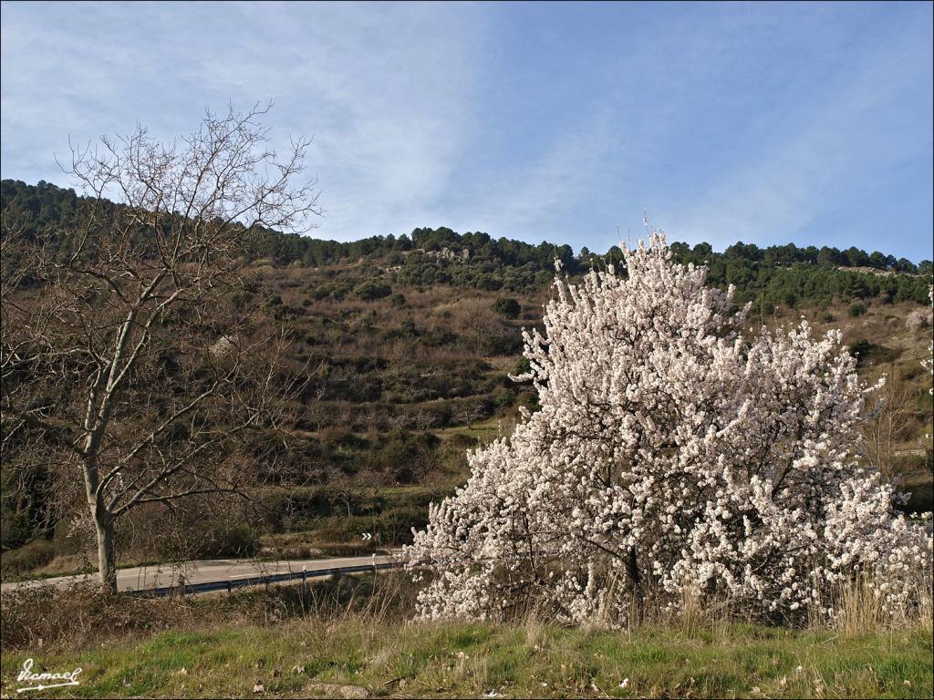 Foto de Aluenda (Zaragoza), España
