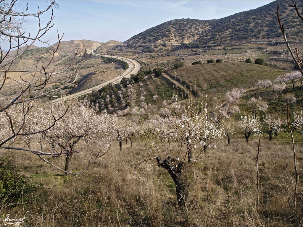 Foto de Aluenda (Zaragoza), España