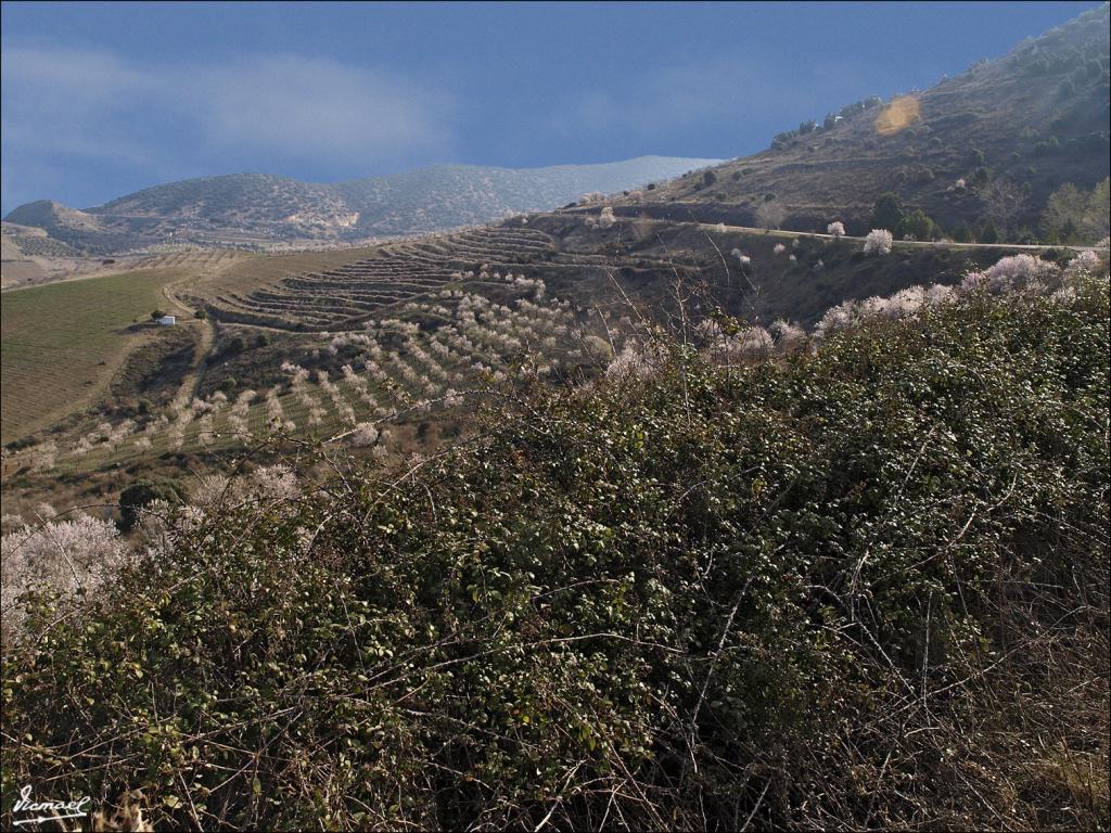Foto de Aluenda (Zaragoza), España