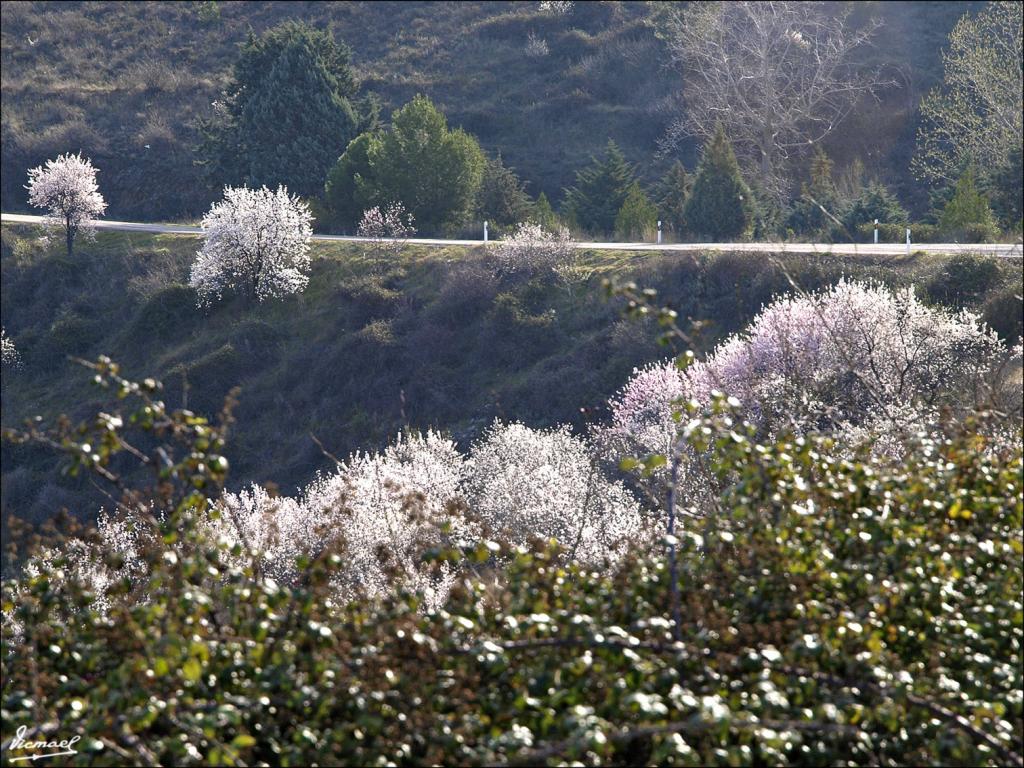 Foto de Aluenda (Zaragoza), España