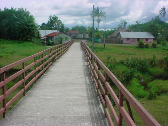 Foto de Amazonas, Venezuela