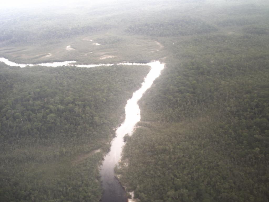 Foto de Amazonas, Venezuela