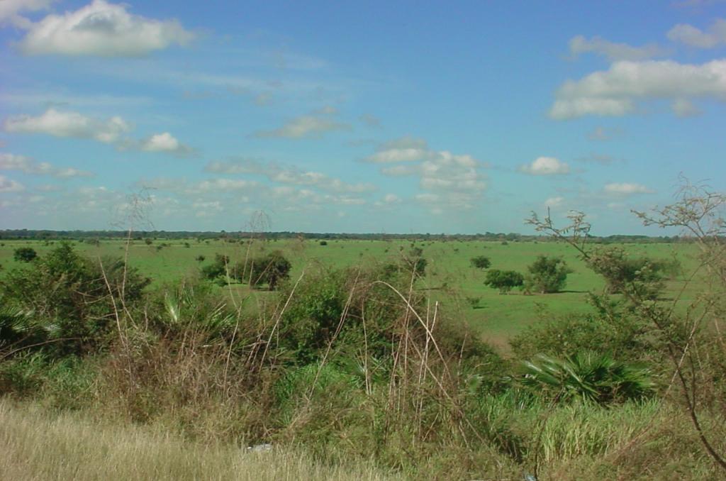 Foto de Camaguan, Venezuela
