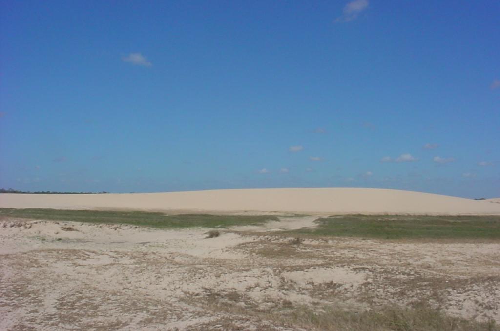 Foto de Apure, Venezuela