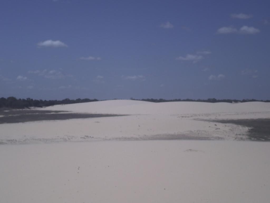 Foto de Apure, Venezuela