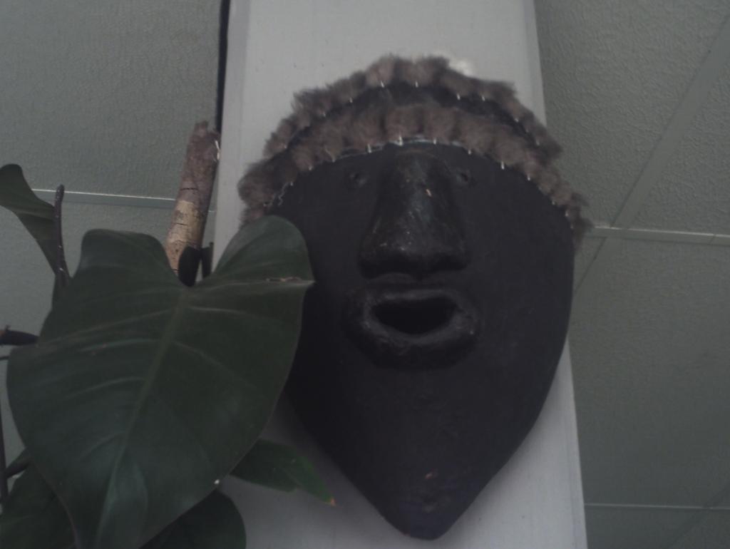 Foto de Amazona, Venezuela