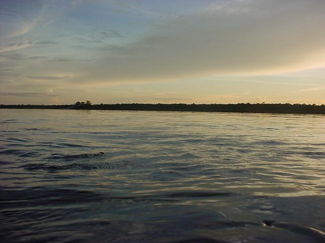 Foto de Amazonas, Venezuela