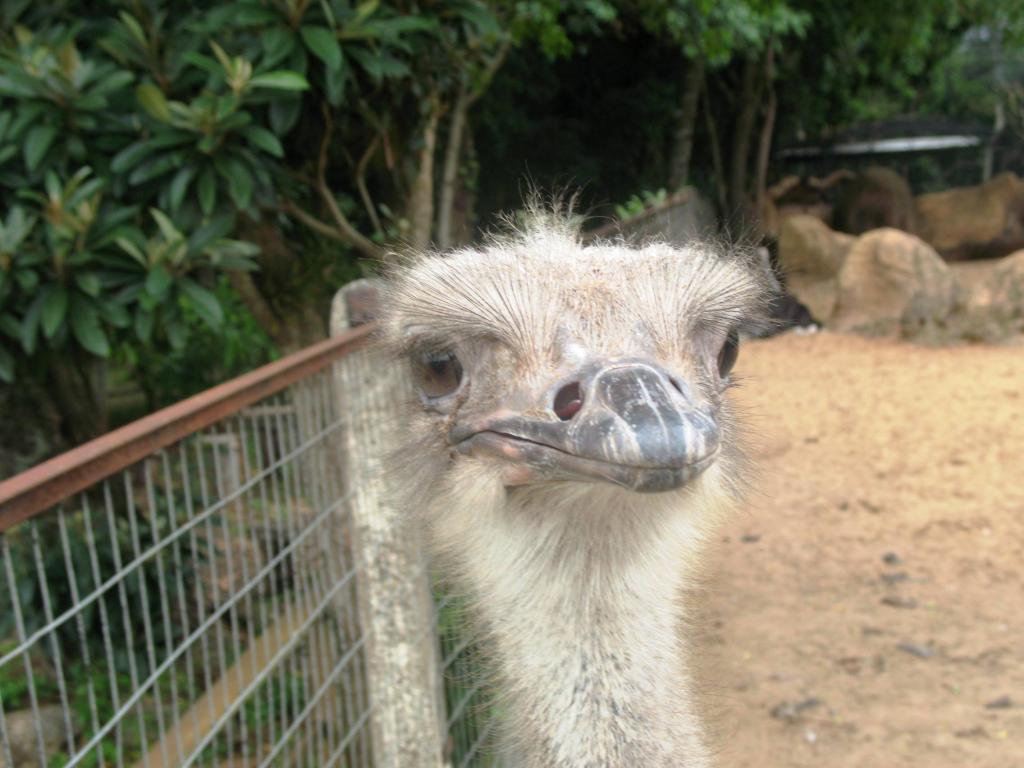 Foto de Foz do Iguacu, Brasil