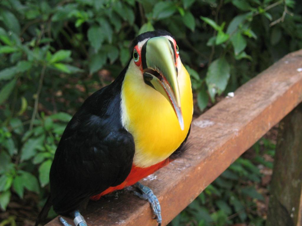 Foto de Foz do Iguacu, Brasil