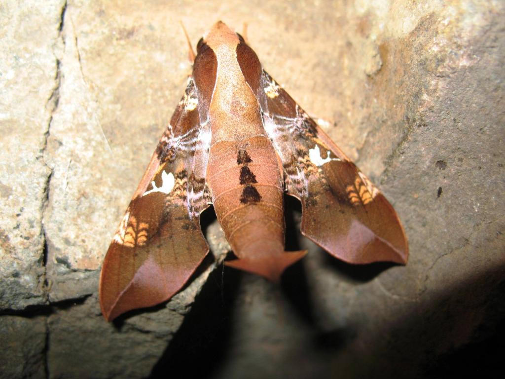 Foto de Wanda, Argentina