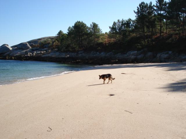 Foto de A Illa de Arousa (Pontevedra), España