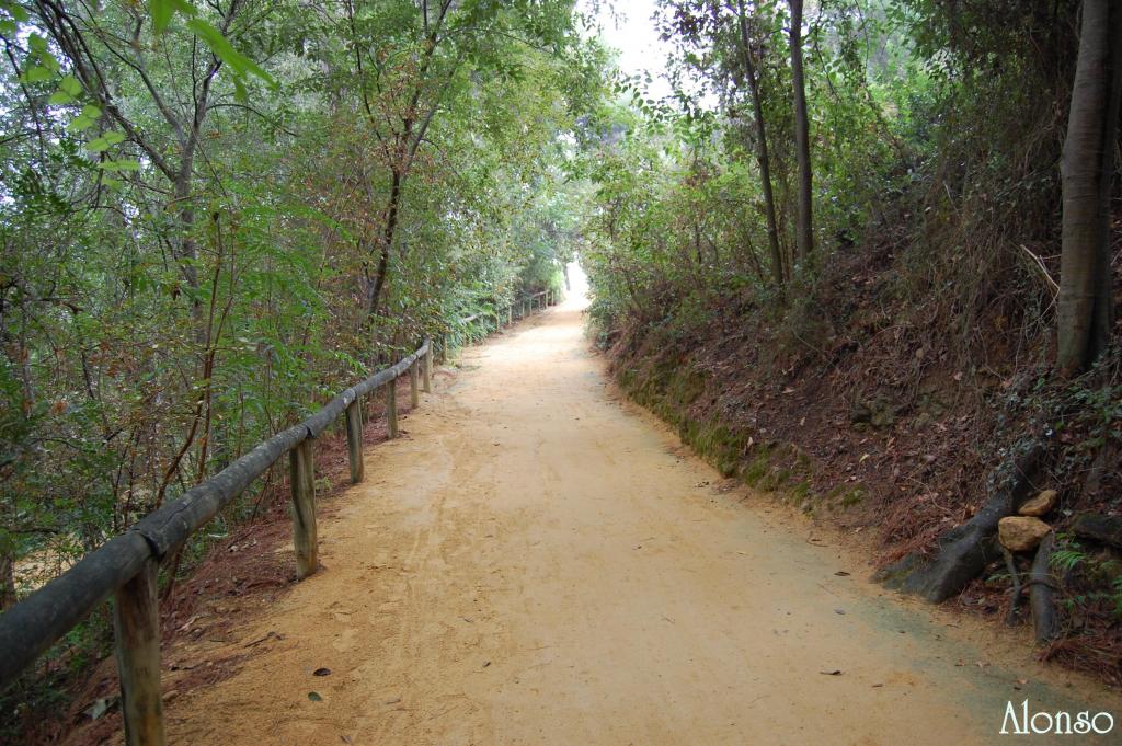 Foto de Alcala de Guadaira (Sevilla), España