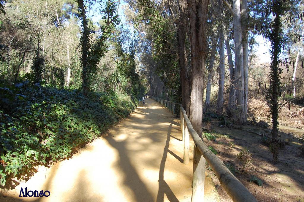 Foto de Alcala de Guadaira (Sevilla), España