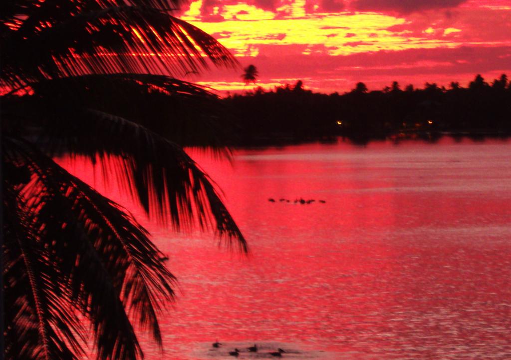 Foto de Patillas, Puerto Rico