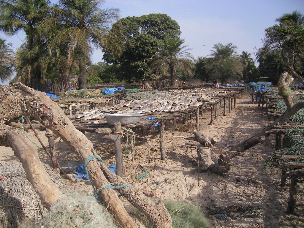 Foto de Sessene, Senegal