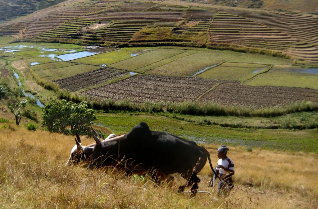 Foto de Ambositra, Madagascar