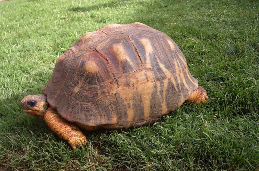 Foto de Antananarivo, Madagascar