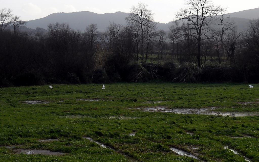 Foto de Guarnizo (Cantabria), España
