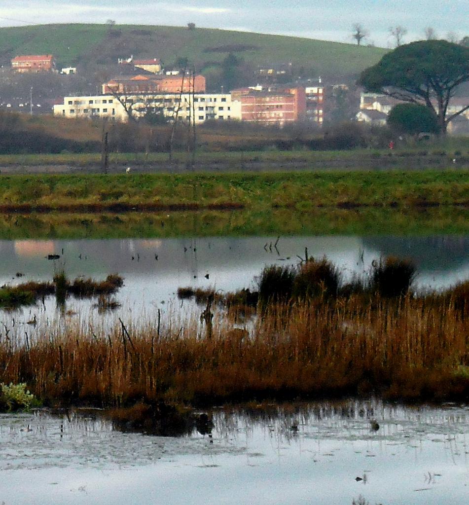 Foto de Guarnizo (Cantabria), España