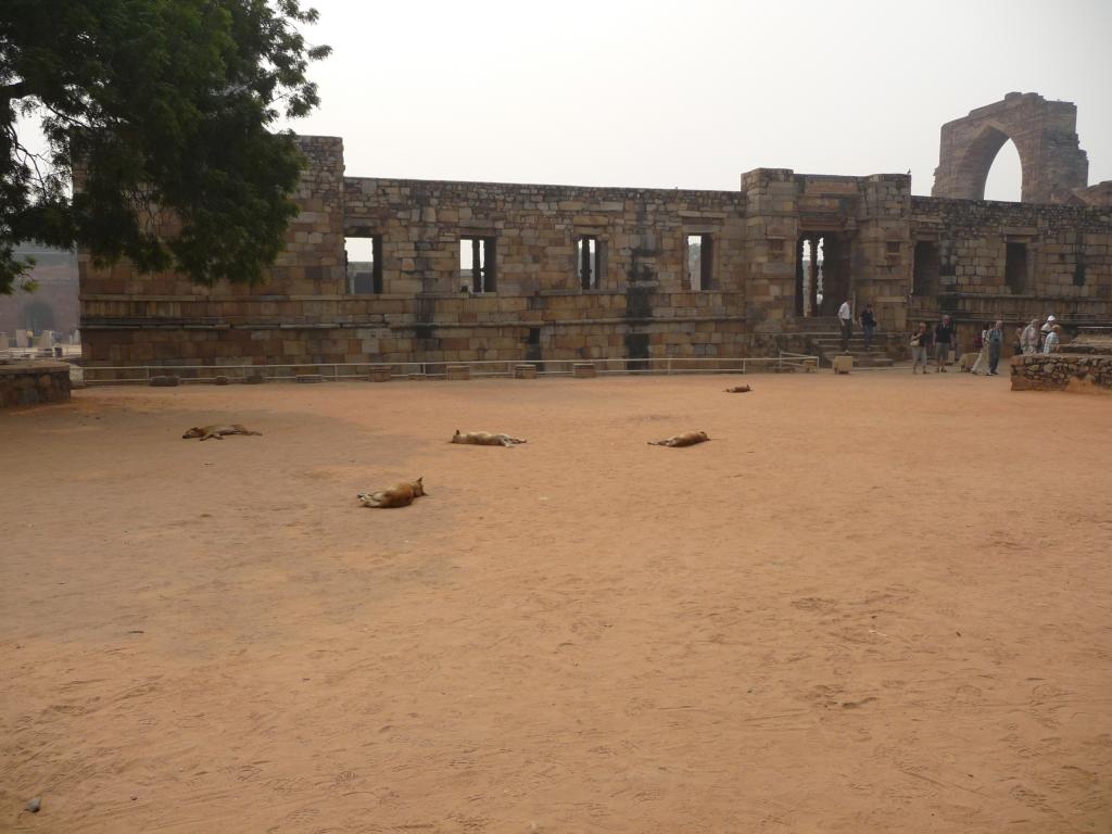 Foto de Delhi, India