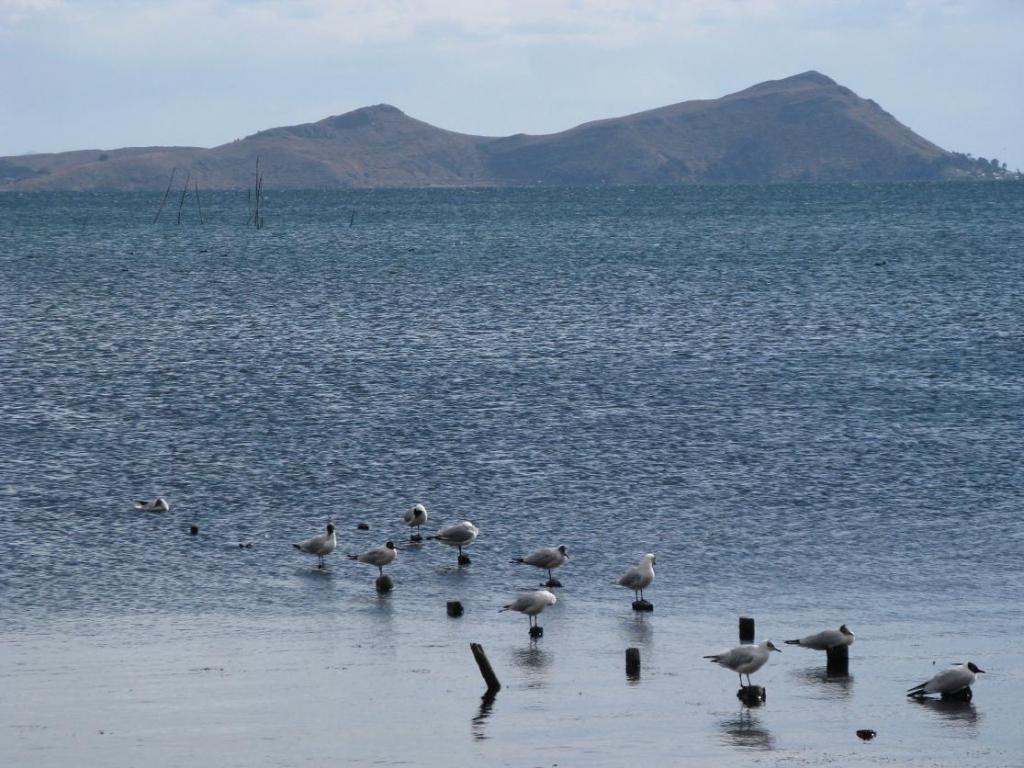 Foto de Huarina, Bolivia
