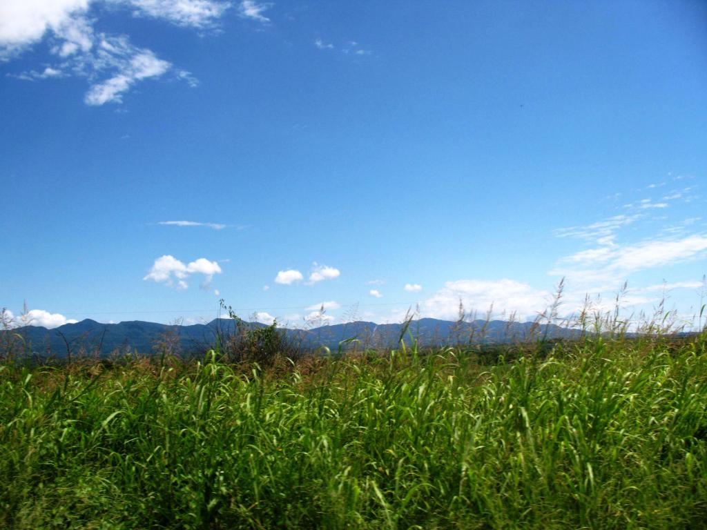 Foto de Pampa del Infierno, Argentina