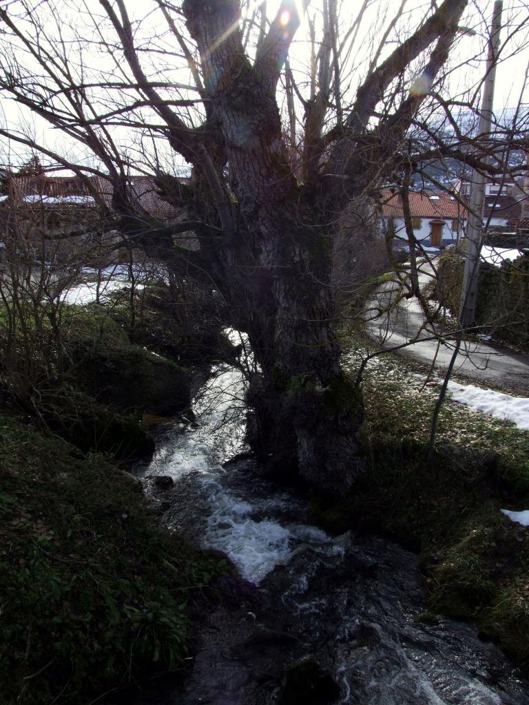Foto de Hoz de Abiada (Cantabria), España