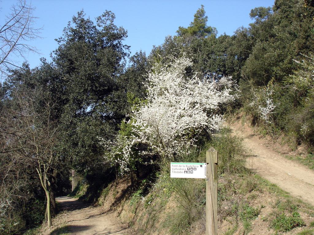 Foto de Barcelona (Cataluña), España