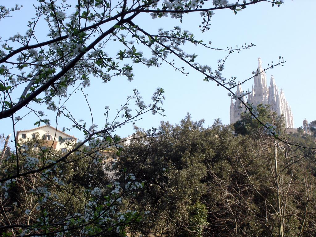 Foto de Barcelona (Cataluña), España