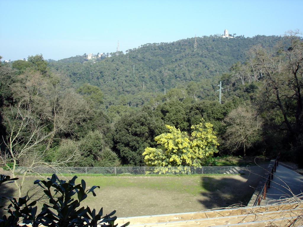 Foto de Barcelona (Cataluña), España