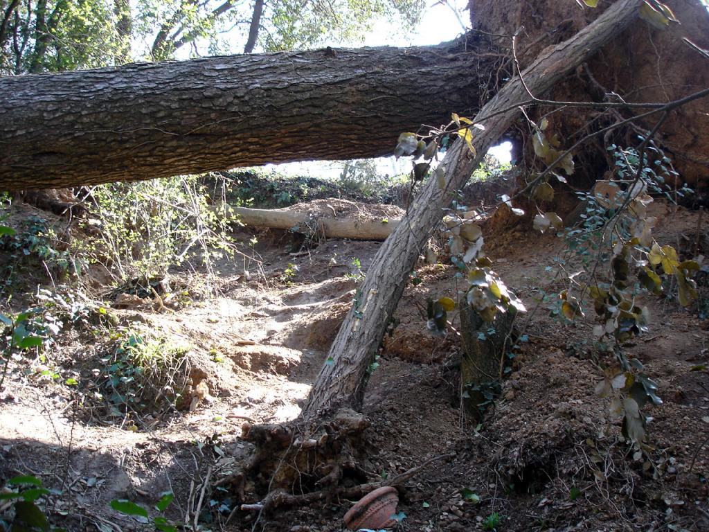 Foto de Barcelona (Cataluña), España