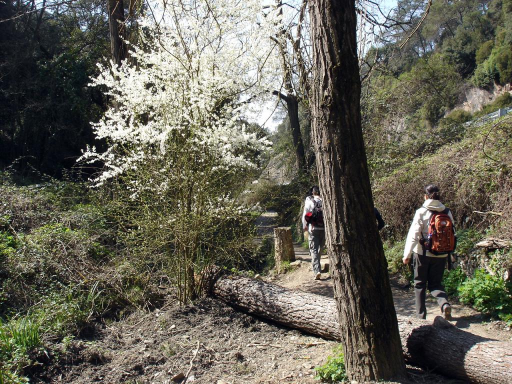 Foto de Barcelona (Cataluña), España