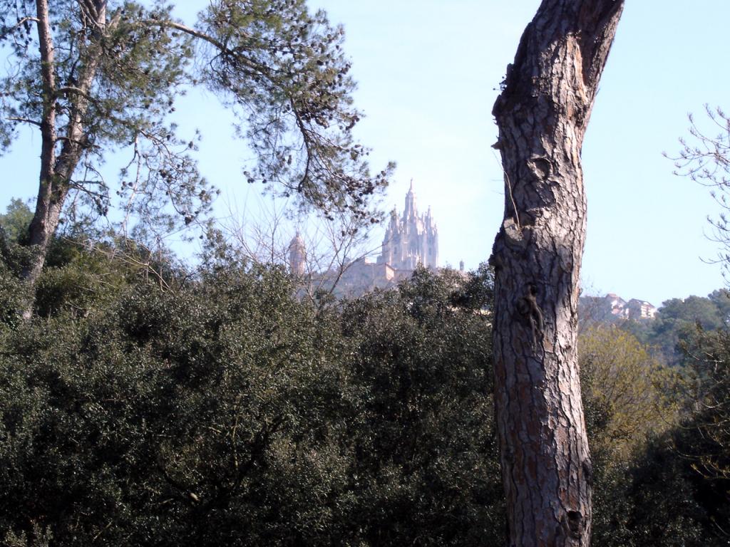 Foto de Barcelona (Cataluña), España