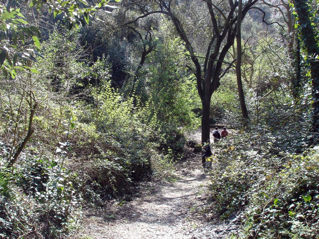 Foto de Barcelona (Cataluña), España