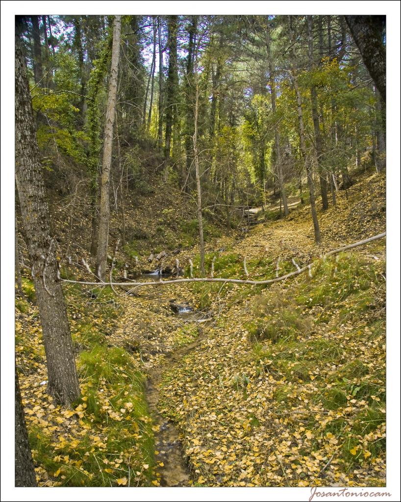 Foto de Cazorla (Jaén), España