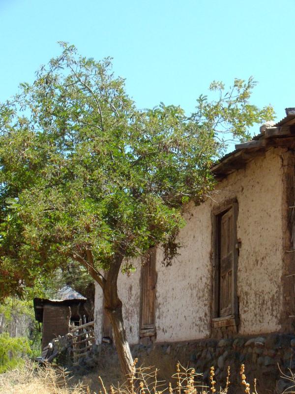 Foto de Petorca, Chile