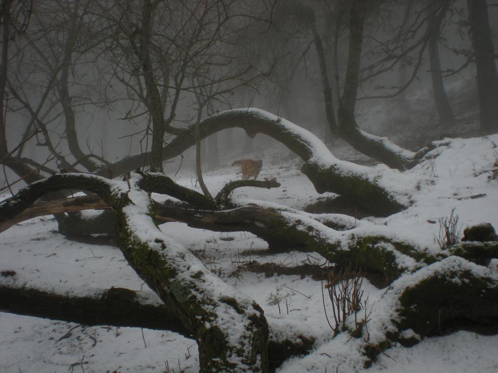 Foto de San Lorenzo de El Escorial (Madrid), España