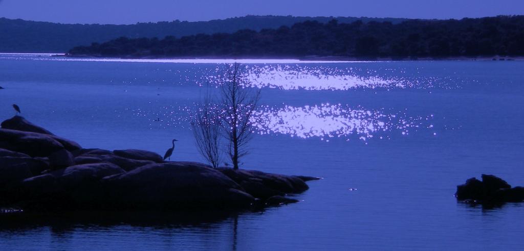 Foto de Galapagar (Madrid), España