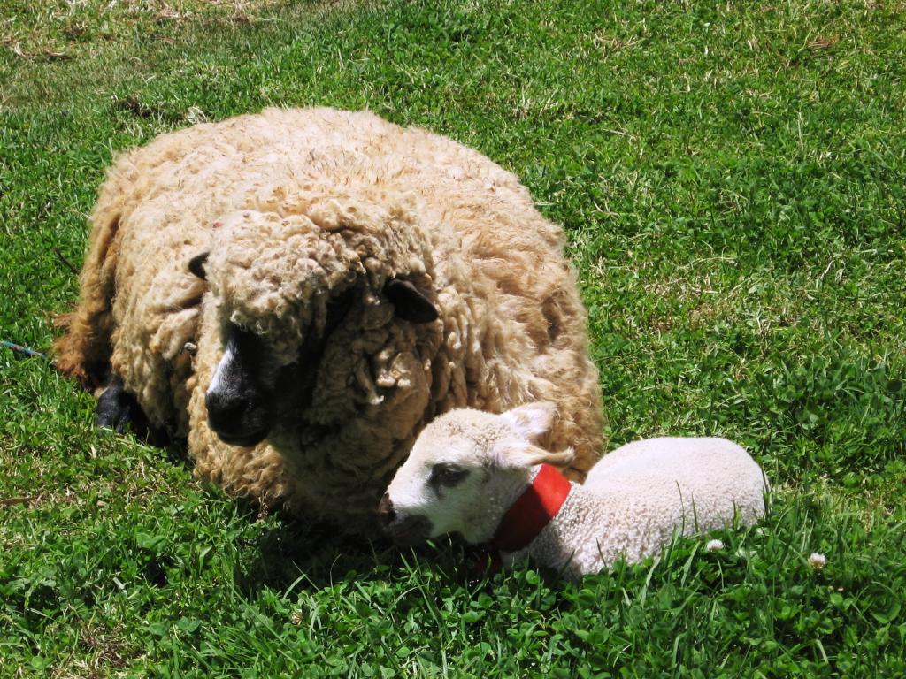 Foto de Huancayo, Perú