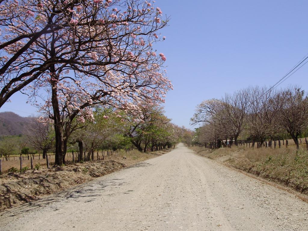 Foto de Guanacaste, Costa Rica