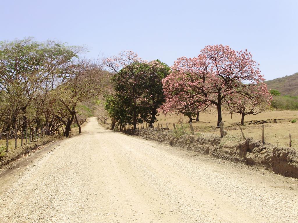 Foto de Guanacaste, Costa Rica